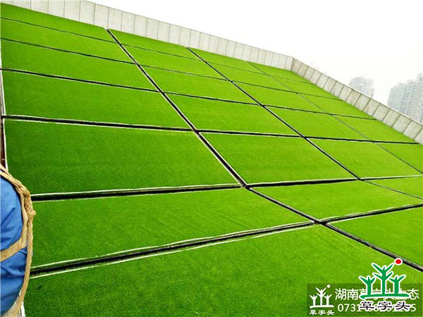 湘潭市博物館與規劃館，屋頂人造草皮綠化施工案例